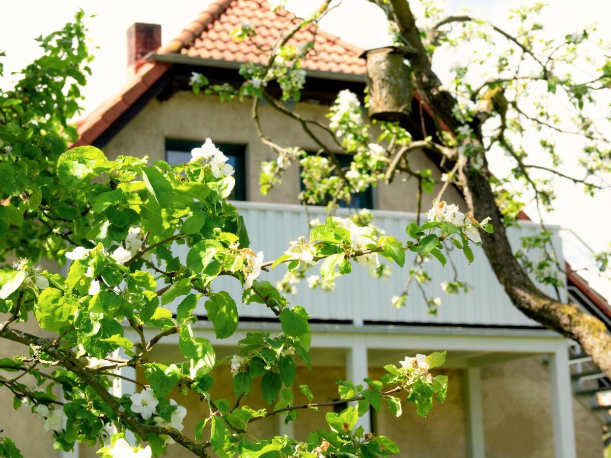 Ferienwohnung Rohlffs Stolpe Auf Usedom エクステリア 写真